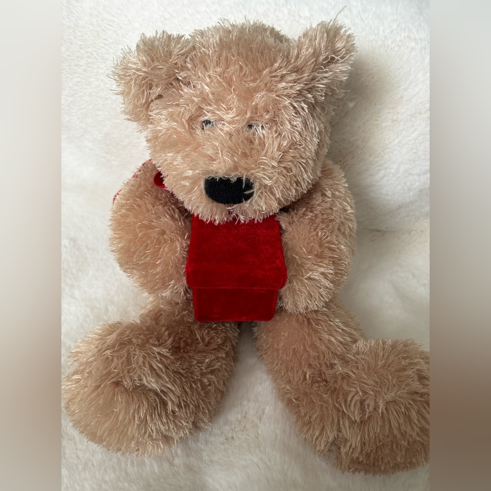 Animal Adventure Valentines Soft Bear with Storage Box